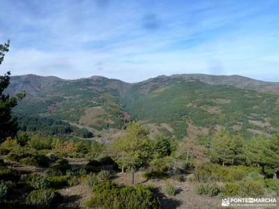 Hayedo Tejera Negra; rutas hoces del duraton; los galayos gredos floración valle del jerte fotos pi